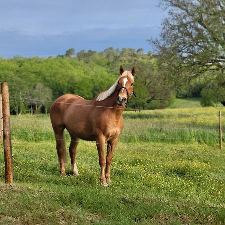 Maison Chaleureuse A La Campagne Payrignac Kültér fotó